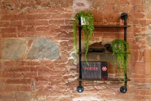 Luxury Apartament Florence