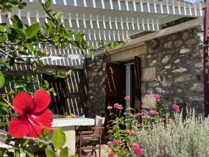 Villa LA FAMILIA maison traditionnelle