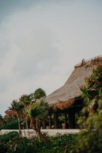 Carretera Tulum-Bocapaila KM 4.5, Tulum, 77780, Mexico.