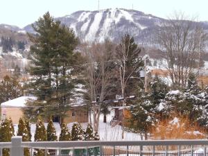Le 204 Champlain Bromont