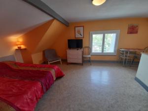 Appartements Studio La Roche-Posay, 1 piece, 1 personne - FR-1-541-83 : photos des chambres