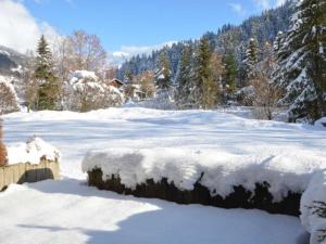 Appartements Appart. 2 pieces, 6 couchages, terrasse, garage, Le Grand-Bornand - FR-1-241-27 : photos des chambres