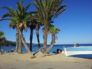 Studio coin nuit proche plage avec parking - Le Lavandou - FR-1-251-83