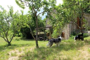 Maisons de vacances Maison de Vignes de Tournemire : photos des chambres