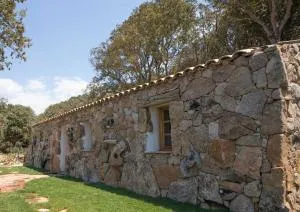 CASEDDU A LECCIA vue mer et piscine - Viggianello