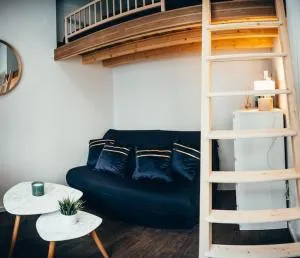 Blue Appart ( studio proche gare Montauban ) - 布雷索勒