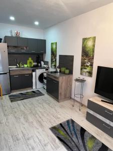 Apartament Acasa Sf.Gheorghe