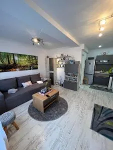 Apartament Acasa Sf.Gheorghe - Băcel