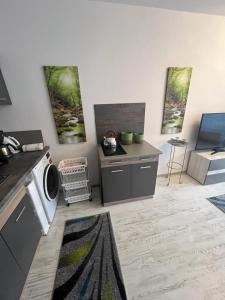 Apartament Acasa Sf.Gheorghe