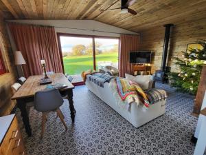 Down the Rabbit Hole