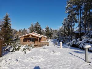 Complexes hoteliers Les Chalets du Haut-Forez : Chalet Supérieur