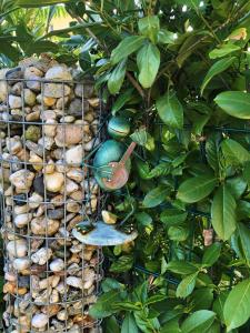 Ferienwohnung KWV11EG "Seefrosch im Küstenwald"