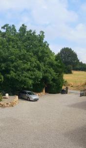 Maisons de vacances Sharecroppers Cottage with Swimming Pool : photos des chambres