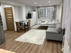 A&A Apartmany - 利普托夫斯基米库拉什-德马诺瓦