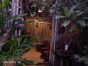 Tribal Village Homestay & Trekking