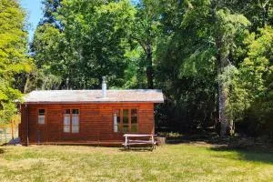Cabaña del Volcán - Collico