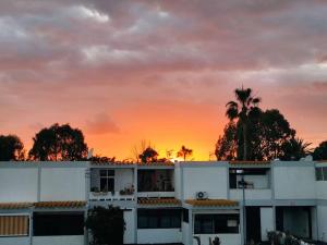 Costa del Silencio El Drago