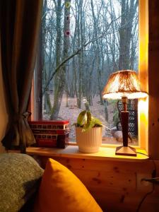 Maisons de vacances Le gite de la cabane de l'oiseau : photos des chambres