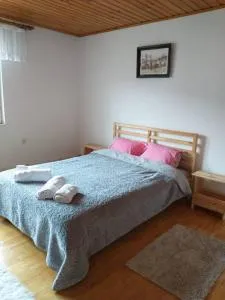 Casa Livia în inima Bucovinei - 古拉哈莫卢洛伊