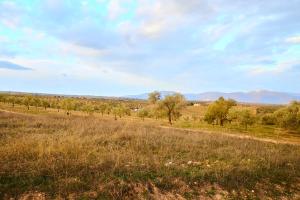 Finca las Calmas Adults Only Boutique Retreat & Dining Experience