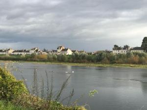 Appartements Nid douillet bord de Loire : photos des chambres