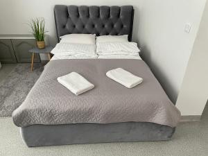 Apartamentai Rokiškio Senamiestyje