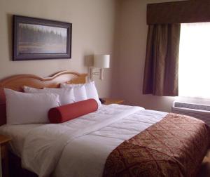 King Suite room in Savanna Inn & Suites
