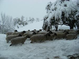 Agriturismo Maso Santa Libera