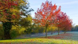 Apartment in St Denys