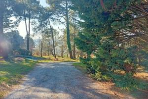 Maisons de vacances Le Kermanne : photos des chambres