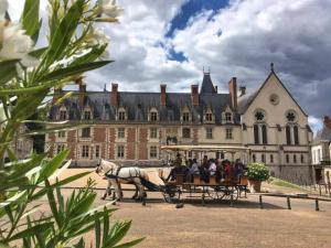 Appartements Blois City - Le Petit Saint Jean : photos des chambres
