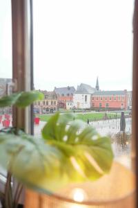Appartements Superbe appartement - Coeur du Vieux-Lille : photos des chambres