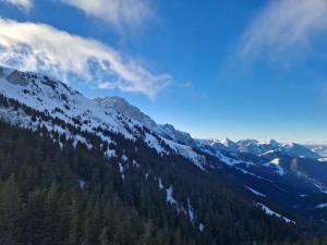 Appartements Appartement tout confort montagne et lac Leman : photos des chambres