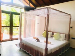 Mango Tree House