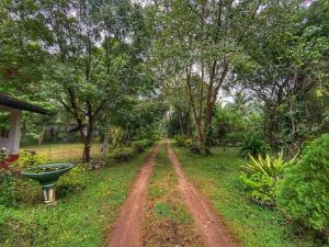 Globetrotter Tourist Inn