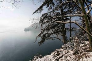 Chalets Maison charmante entre forets montagnes et lac : photos des chambres