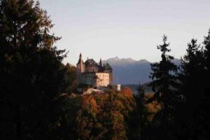 Chalets Maison charmante entre forets montagnes et lac : photos des chambres