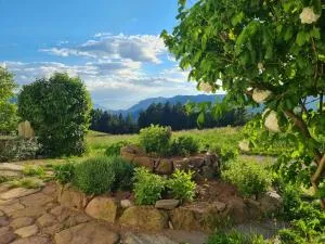 Salmsein Biohof - Campodazzo