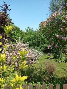 Maisons de vacances L'escale Arquaise, la maison au jardin fleuri a 5 min de dieppe : photos des chambres