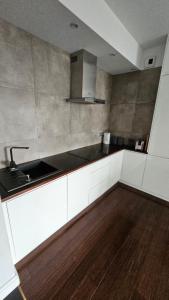 Apartament Katowice Park Śląski