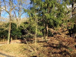 Lodges Le Chalet de la Loire : photos des chambres