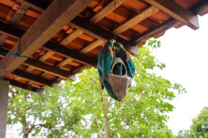 Chalé a 4km do Centro com Wi-Fi