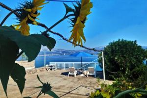 Studio Lumbarda 14647b