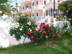 Joanna Apartments Heraklio Greece