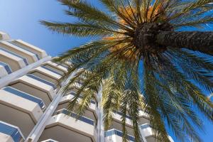 Hotels Hotel Riva Art & Spa : photos des chambres