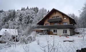 4 stjerner suite Chalet OTT - apartment in the mountains Saint-Cergue Sveits