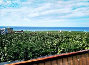 Apartamento El Tejar - Casa Nueva