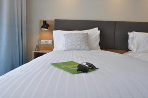 Hotels Holiday Inn - Bordeaux-Merignac, an IHG Hotel : photos des chambres