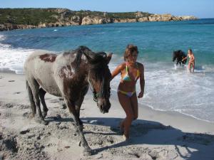 Villas Residence de Tourisme Mare e Macchia : photos des chambres