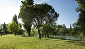 SOWELL HOTELS L'Olivier : photos des chambres